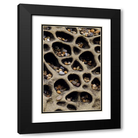 California Pebbles collected in rock cavities Black Modern Wood Framed Art Print with Double Matting by Bush, Marie