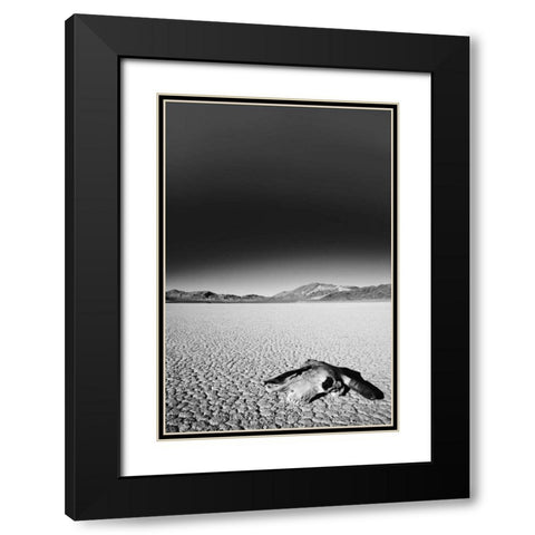 California, Death Valley NP Weathered cow skull Black Modern Wood Framed Art Print with Double Matting by Flaherty, Dennis