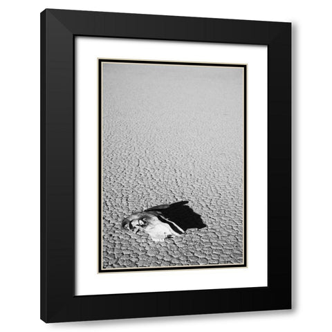 California, Death Valley NP Weathered cow skull Black Modern Wood Framed Art Print with Double Matting by Flaherty, Dennis