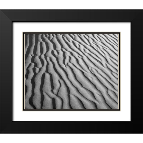 California, Death Valley NP Sand dune patterns Black Modern Wood Framed Art Print with Double Matting by Flaherty, Dennis