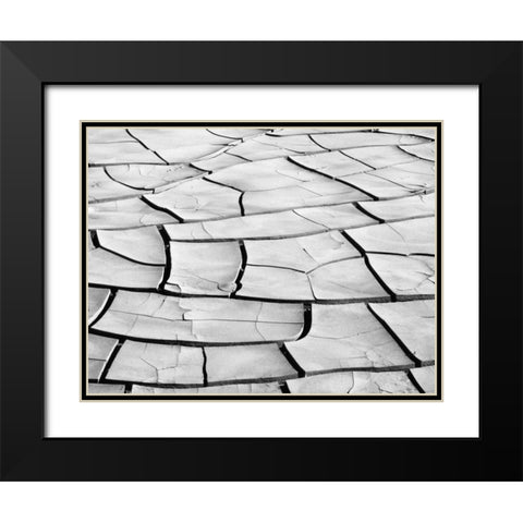 California, Death Valley Patterns in dried mud Black Modern Wood Framed Art Print with Double Matting by Flaherty, Dennis