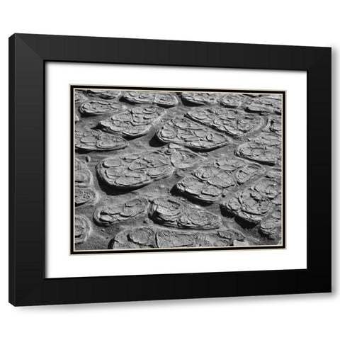 CA, Death Valley Cracked mud of the playa floor Black Modern Wood Framed Art Print with Double Matting by Flaherty, Dennis