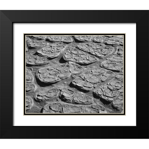 CA, Death Valley Cracked mud of the playa floor Black Modern Wood Framed Art Print with Double Matting by Flaherty, Dennis