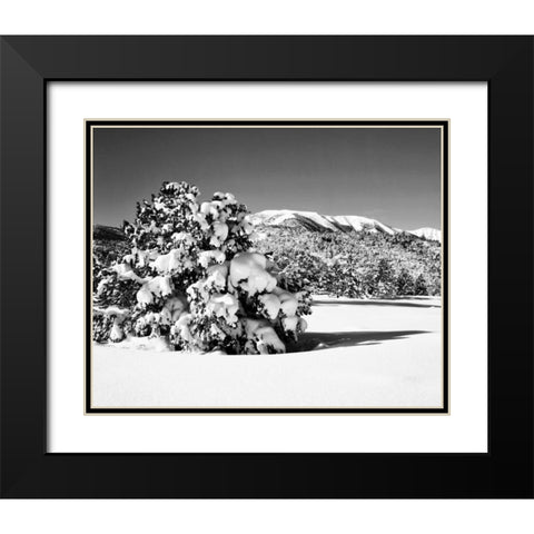 CA, Sierra Nevada Morning on winter landscape Black Modern Wood Framed Art Print with Double Matting by Flaherty, Dennis