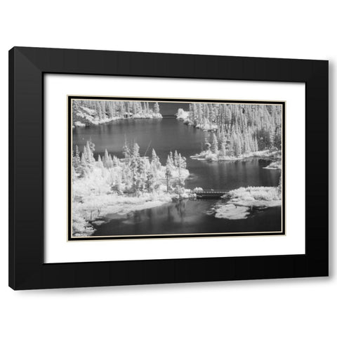 CA, Mammoth Lakes Basin Aerial of Twin Lakes Black Modern Wood Framed Art Print with Double Matting by Flaherty, Dennis