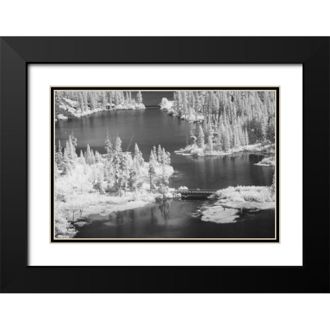 CA, Mammoth Lakes Basin Aerial of Twin Lakes Black Modern Wood Framed Art Print with Double Matting by Flaherty, Dennis