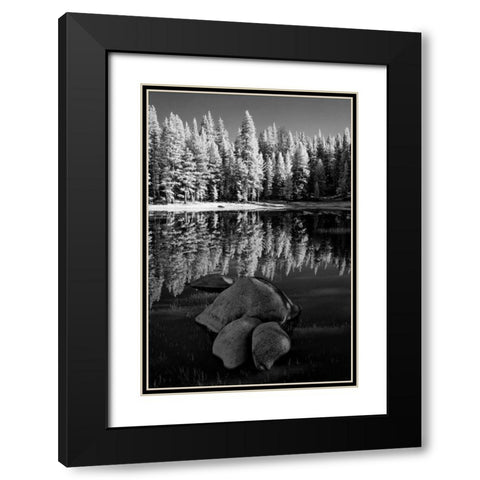 California, Yosemite Forest reflects in a pond Black Modern Wood Framed Art Print with Double Matting by Flaherty, Dennis