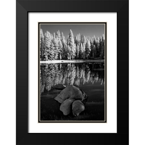 California, Yosemite Forest reflects in a pond Black Modern Wood Framed Art Print with Double Matting by Flaherty, Dennis