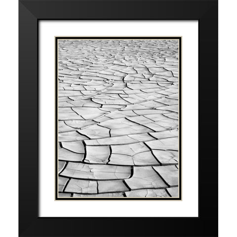 California, Death Valley Patterns in dried mud Black Modern Wood Framed Art Print with Double Matting by Flaherty, Dennis