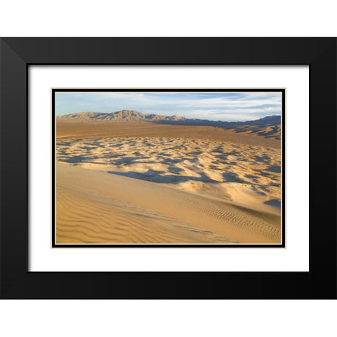 CA, Mohave National Preserve Kelso Dunes Black Modern Wood Framed Art Print with Double Matting by Paulson, Don