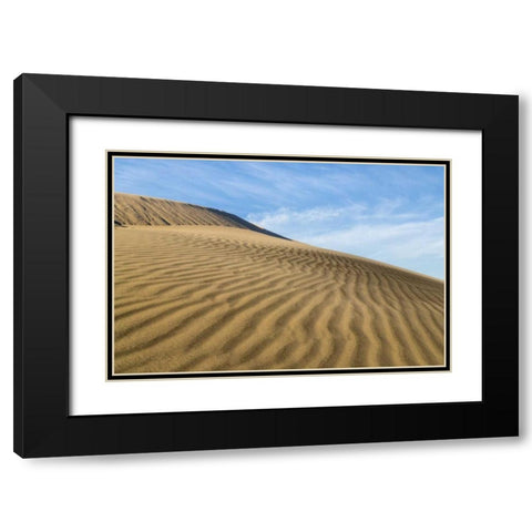 CA, Mohave National Preserve Rippled sand dunes Black Modern Wood Framed Art Print with Double Matting by Paulson, Don