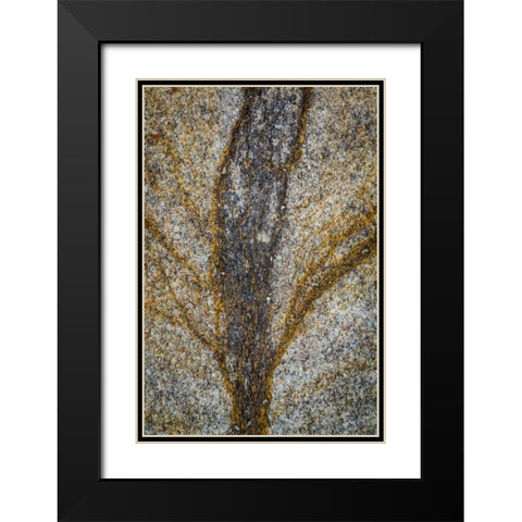 California, Alabama Hills Close-up of rock stain Black Modern Wood Framed Art Print with Double Matting by Paulson, Don