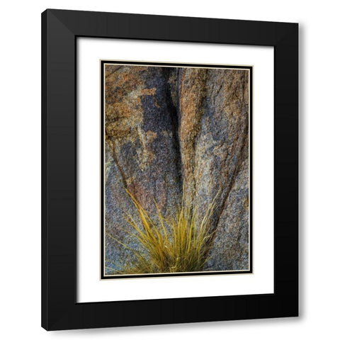 California, Alabama Hills Rock face and grass Black Modern Wood Framed Art Print with Double Matting by Paulson, Don