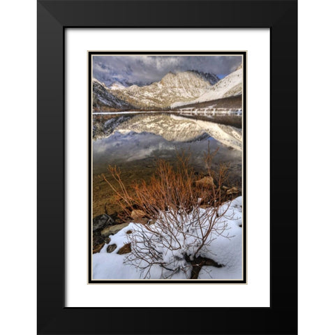 California, Sierra Nevada Spring at North Lake Black Modern Wood Framed Art Print with Double Matting by Flaherty, Dennis