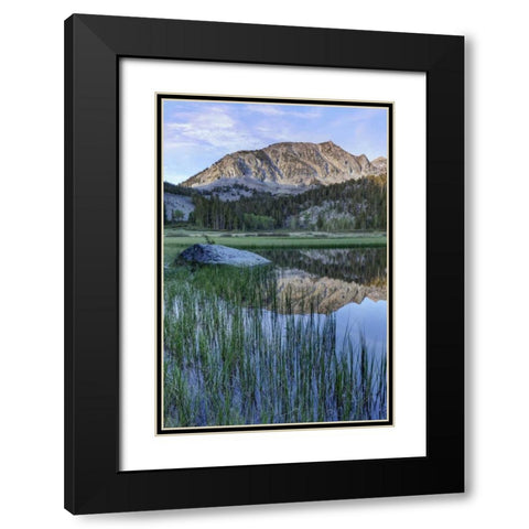 California, Sierra Nevada Grass Lake reflection Black Modern Wood Framed Art Print with Double Matting by Flaherty, Dennis