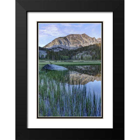 California, Sierra Nevada Grass Lake reflection Black Modern Wood Framed Art Print with Double Matting by Flaherty, Dennis