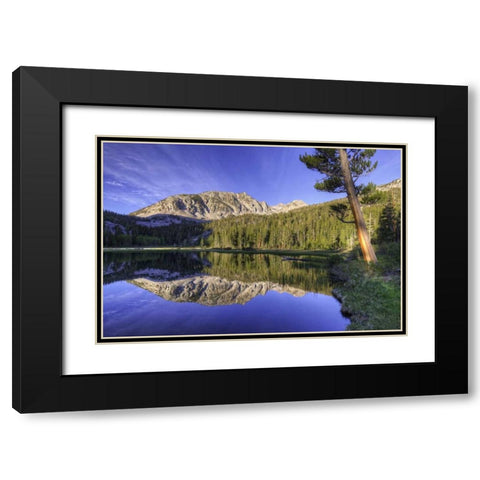 California, Sierra Nevada Grass Lake reflection Black Modern Wood Framed Art Print with Double Matting by Flaherty, Dennis