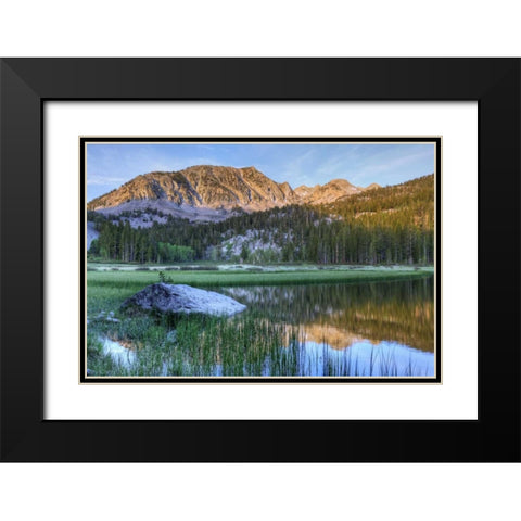 California, Sierra Nevada Grass Lake reflection Black Modern Wood Framed Art Print with Double Matting by Flaherty, Dennis