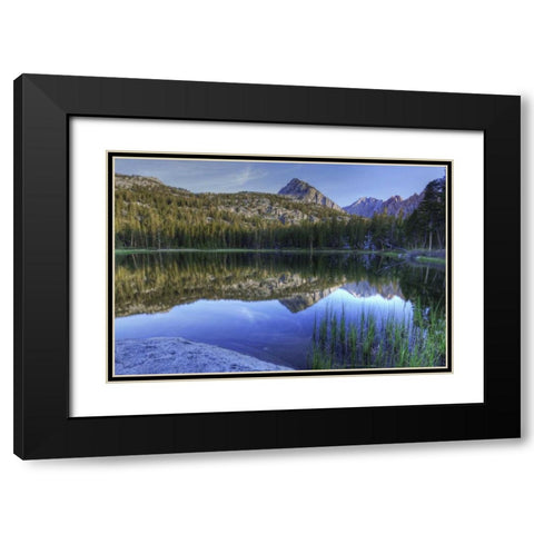 California, Sierra Nevada Grass Lake reflection Black Modern Wood Framed Art Print with Double Matting by Flaherty, Dennis