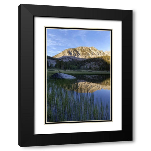 California, Sierra Nevada Grass Lake reflection Black Modern Wood Framed Art Print with Double Matting by Flaherty, Dennis