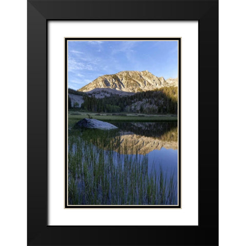 California, Sierra Nevada Grass Lake reflection Black Modern Wood Framed Art Print with Double Matting by Flaherty, Dennis