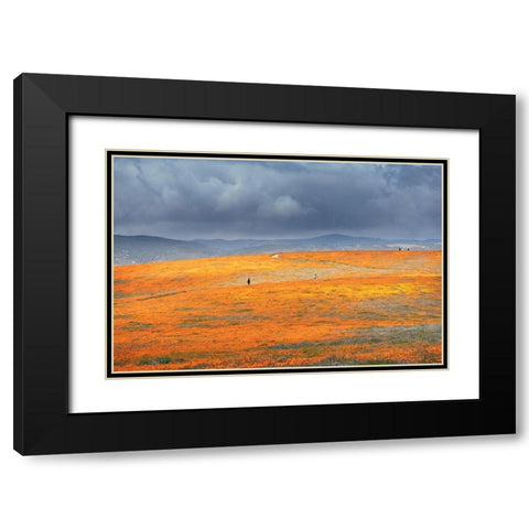 California-Mojave Desert California poppy super bloom  Black Modern Wood Framed Art Print with Double Matting by Jaynes Gallery