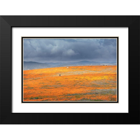 California-Mojave Desert California poppy super bloom  Black Modern Wood Framed Art Print with Double Matting by Jaynes Gallery