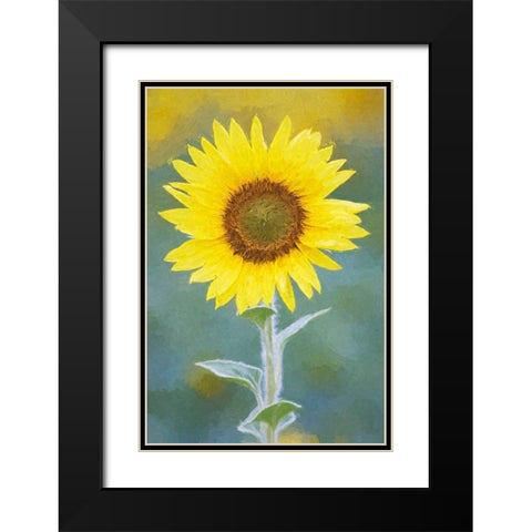 California Abstract of sunflower Black Modern Wood Framed Art Print with Double Matting by Jaynes Gallery