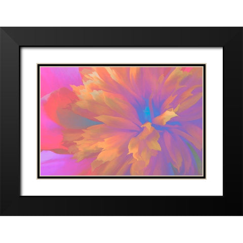 California Abstract of blooming peony flower Black Modern Wood Framed Art Print with Double Matting by Jaynes Gallery