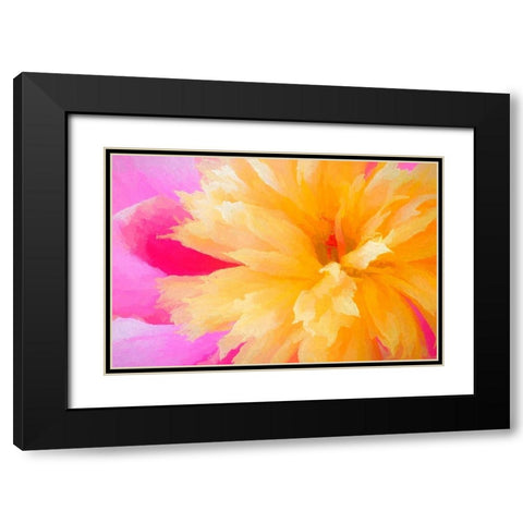 California Abstract of blooming peony flower Black Modern Wood Framed Art Print with Double Matting by Jaynes Gallery