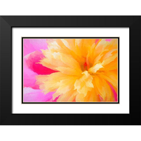 California Abstract of blooming peony flower Black Modern Wood Framed Art Print with Double Matting by Jaynes Gallery