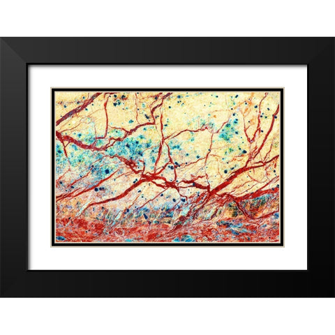 California Detail of marble rock patterns Black Modern Wood Framed Art Print with Double Matting by Jaynes Gallery