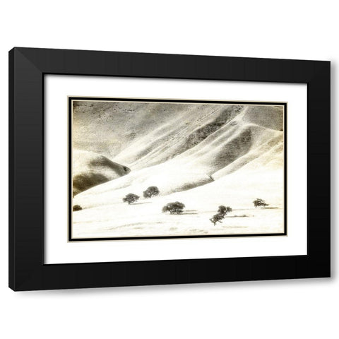 Usa-California Oak trees and hills of the Coast Range south of Salinas-California Black Modern Wood Framed Art Print with Double Matting by Sederquist, Betty
