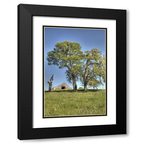 Usa-California Peaceful rural setting near Folsom Suburban sprawl is only a few miles away Black Modern Wood Framed Art Print with Double Matting by Sederquist, Betty