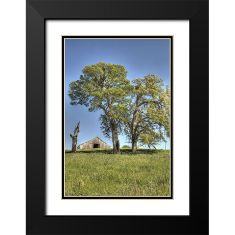 Usa-California Peaceful rural setting near Folsom Suburban sprawl is only a few miles away Black Modern Wood Framed Art Print with Double Matting by Sederquist, Betty