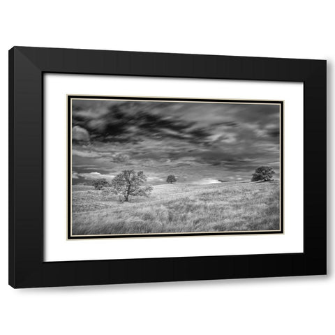 Infrared image of clouds-grasslands and oak trees in Amador County Black Modern Wood Framed Art Print with Double Matting by Sederquist, Betty