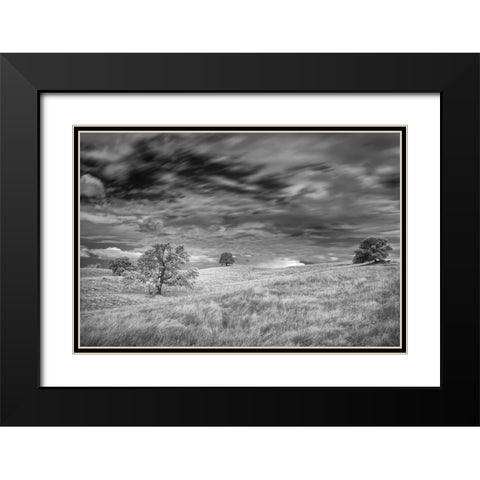 Infrared image of clouds-grasslands and oak trees in Amador County Black Modern Wood Framed Art Print with Double Matting by Sederquist, Betty