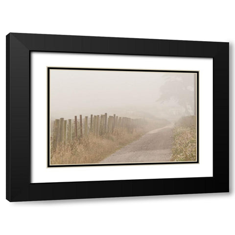 Usa-California Fog blankets this driveway at Point Reyes Black Modern Wood Framed Art Print with Double Matting by Sederquist, Betty