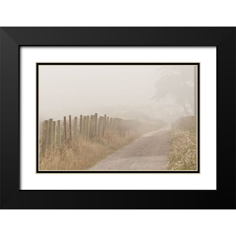 Usa-California Fog blankets this driveway at Point Reyes Black Modern Wood Framed Art Print with Double Matting by Sederquist, Betty