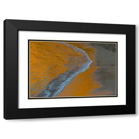 Usa-California The headlands of Point Reyes Black Modern Wood Framed Art Print with Double Matting by Sederquist, Betty
