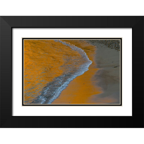 Usa-California The headlands of Point Reyes Black Modern Wood Framed Art Print with Double Matting by Sederquist, Betty