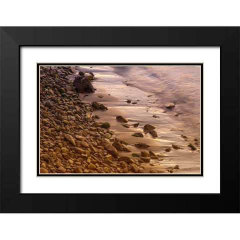 Usa-California The headlands of Point Reyes Black Modern Wood Framed Art Print with Double Matting by Sederquist, Betty