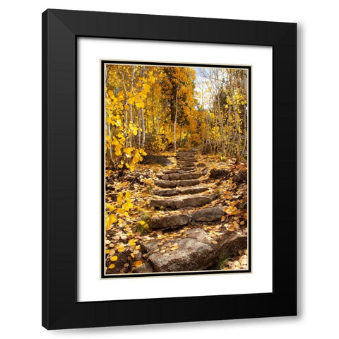 These stone stairs behind Sorensens Resort (now Wylder Hotel) Black Modern Wood Framed Art Print with Double Matting by Sederquist, Betty