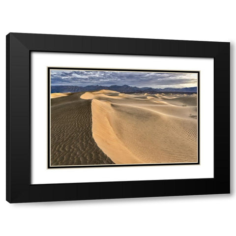Mesquite Dunes-Death Valley National Park-California Black Modern Wood Framed Art Print with Double Matting by Ford, John