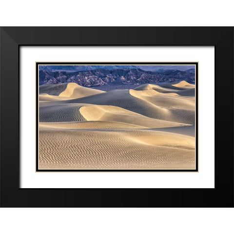 Mesquite Dunes-Death Valley National Park-California Black Modern Wood Framed Art Print with Double Matting by Ford, John