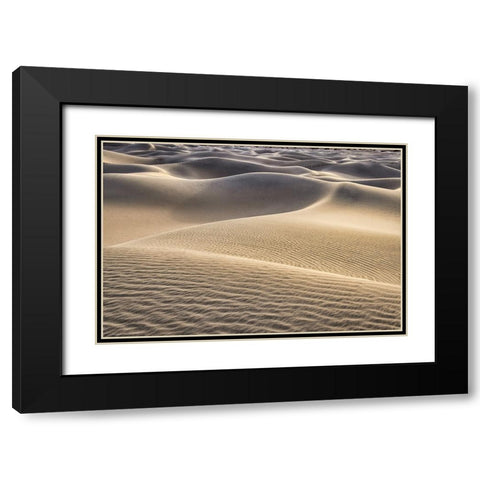Mesquite Dunes-Death Valley National Park-California Black Modern Wood Framed Art Print with Double Matting by Ford, John