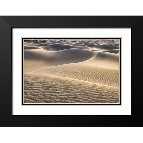 Mesquite Dunes-Death Valley National Park-California Black Modern Wood Framed Art Print with Double Matting by Ford, John