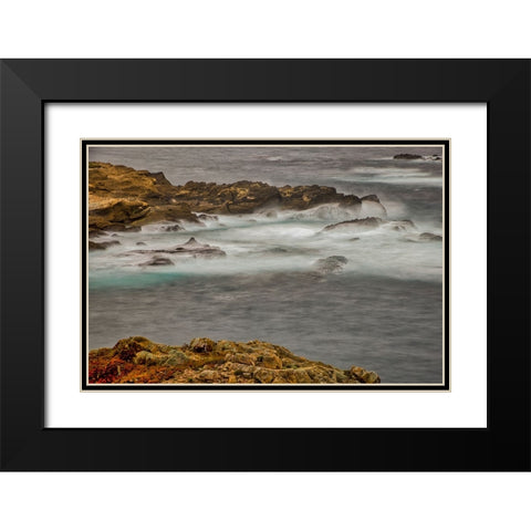 Point Lobos-Carmel-California Black Modern Wood Framed Art Print with Double Matting by Ford, John