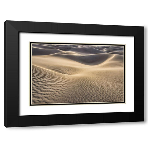 Mesquite Dunes-Death Valley National Park-California Black Modern Wood Framed Art Print with Double Matting by Ford, John