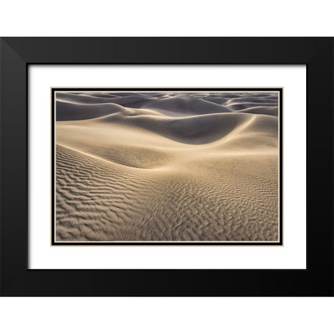 Mesquite Dunes-Death Valley National Park-California Black Modern Wood Framed Art Print with Double Matting by Ford, John